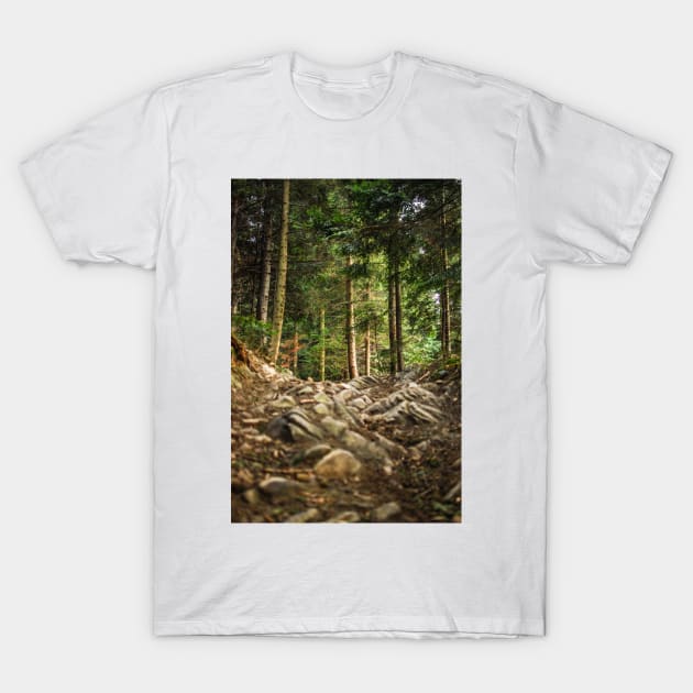 In the woods T-Shirt by artesonraju